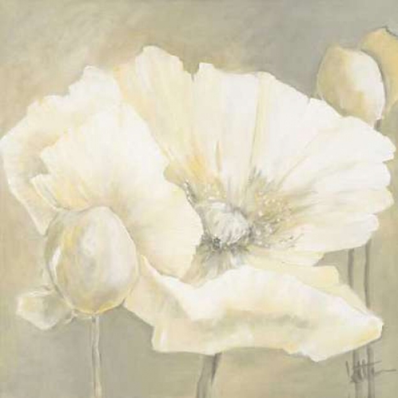 Poppy in white II Poster Print by Jettie Roseboom - Item # VARPDXGA0116176